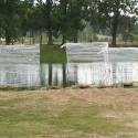 tartu_hansapaevad-1_2005